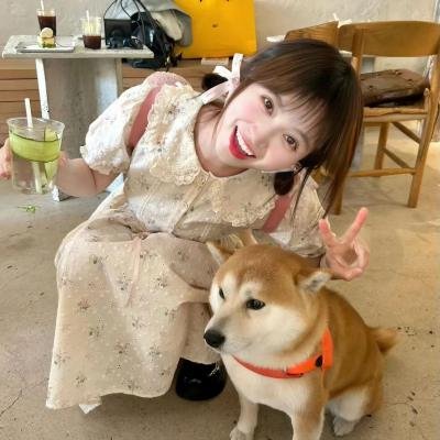 猫咪情缘